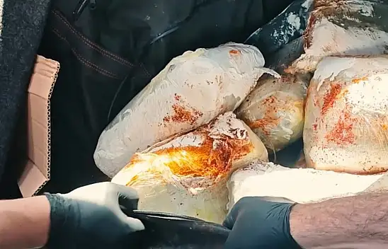 Muş'ta uyuşturucu operasyonu: 60 kilogram skunk ele geçirildi