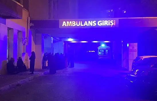 Muş'ta yıldırım faciası! Çoban hayatını kaybetti