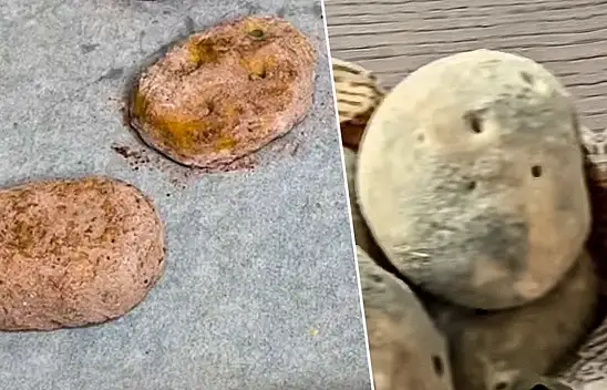 Patates görünümlü poğaça trendi yapımı nedir, nasıl yapılır?