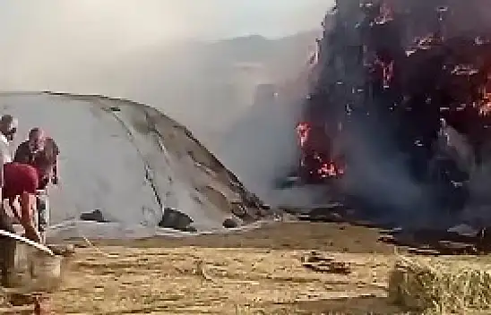 Patnos'ta 2 bin 100 balya yangında kül oldu
