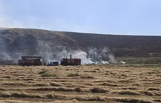 Patnos'ta çıkan yangın çiftçinin alın terini yaktı