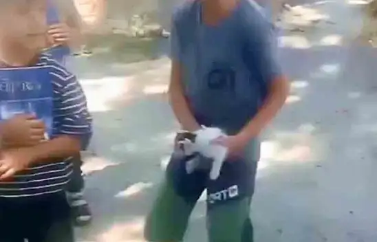 Patnos'ta çocukların dikkati yavru kedinin hayatını kurtardı