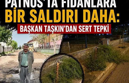 Patnos'ta fidanlara bir saldırı daha: Başkan Taşkın'dan sert tepki