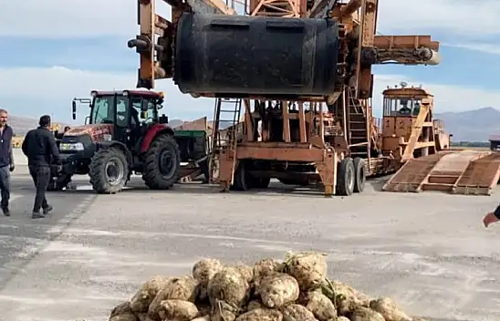 Patnos'ta şeker pancarı alım sezonu başladı