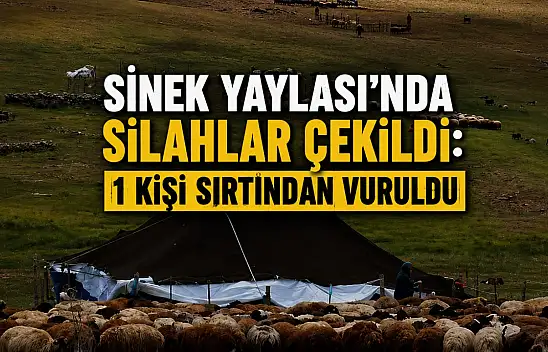 Sinek Yaylası'nda koyun pazarlığı silahlı kavgaya dönüştü: 1 yaralı