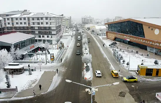 Soğuk hava Ağrı'yı sardı, şehir kırağı ile süslendi