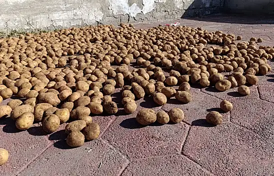 Soğuklar yaklaşırken Ağrı'da kış hazırlığı hız kazandı