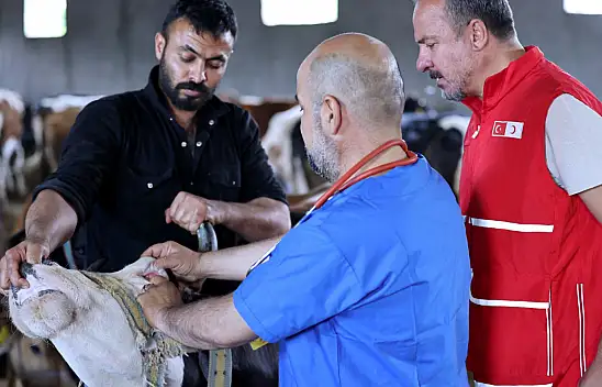 Türk Kızılay Ağrı Şubesi'nden kurban bağışı çağrısı