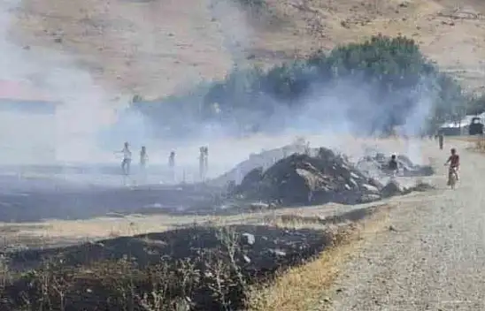 Tutak'ta mera yangını korku saçtı