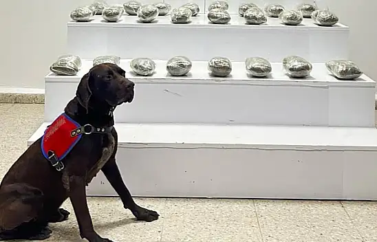 Van'da jandarmadan uyuşturucu operasyonu: 10 kilo esrar ele geçirildi!