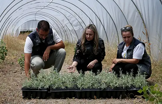 Van'da tuz çalısı üretimi yaygınlaşıyor