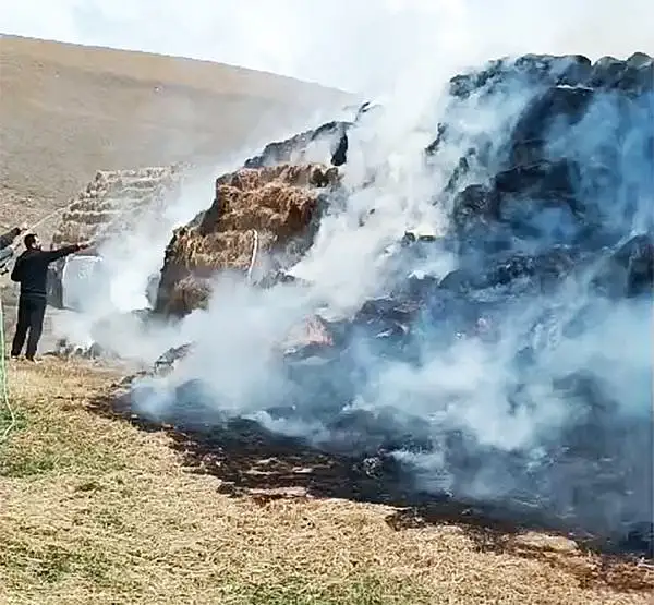 Ağrı'da 3 Bin 350 Balya Ot Alevlere Teslim Oldu