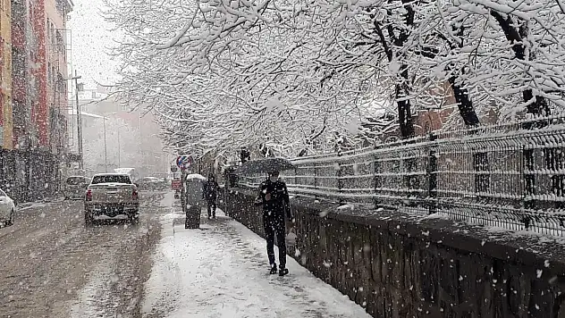 Ağrı'da kar kenti etkisi altına aldı