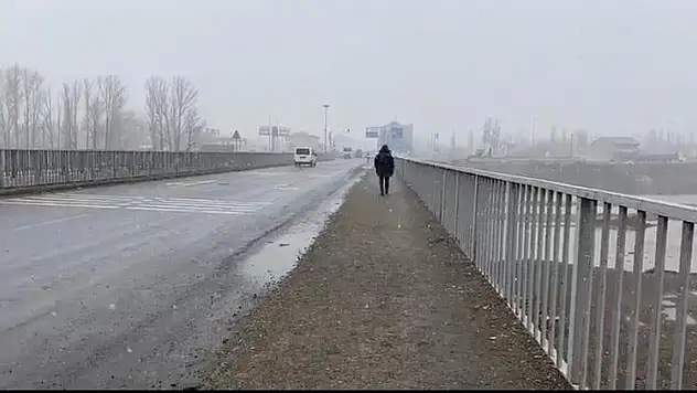 Ağrı'da kar fırtınası etkili oldu
