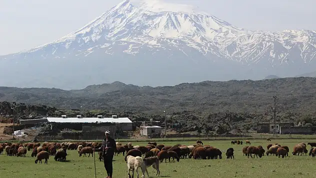 Besiciler Ağrı Dağı'nın yolunu tuttu