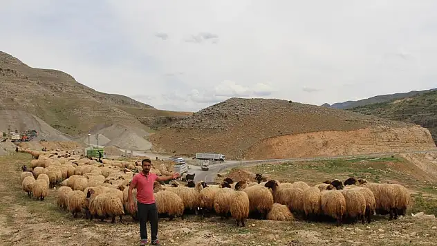 Ağrı'ya gelmek üzere yola çıktılar