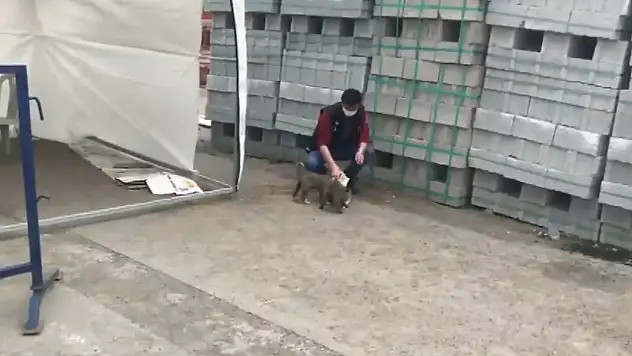 Ağrı'da polisin merhameti yürekleri ısıttı