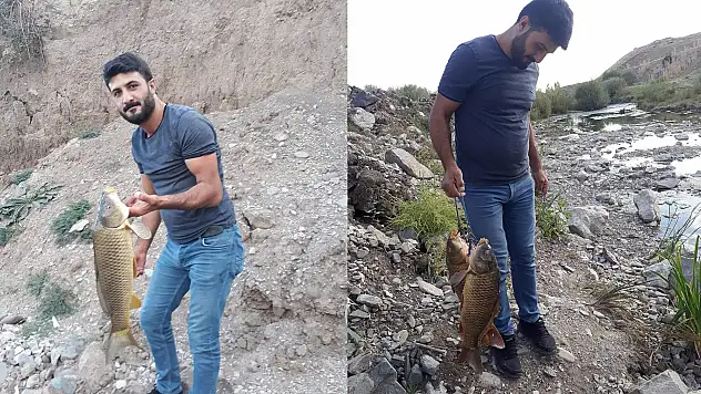 Ağrı'da elektrik akımına kapılan genç hayatını kaybetti