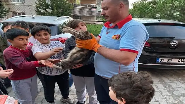 Çatıda mahsur kalan hamile kediyi itfaiye ekipleri kurtardı