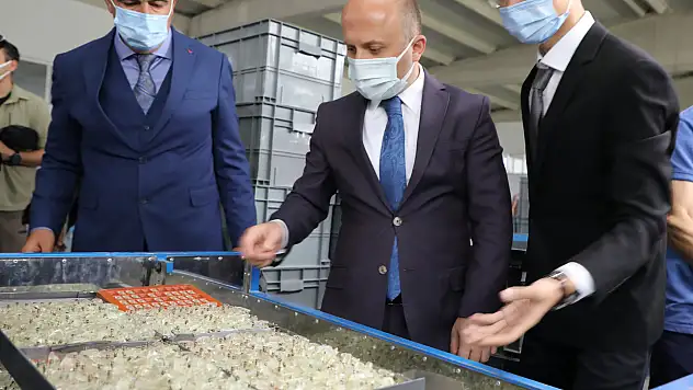 Vali Varol'dan Koko Çakmak Fabrikasını Ziyaret