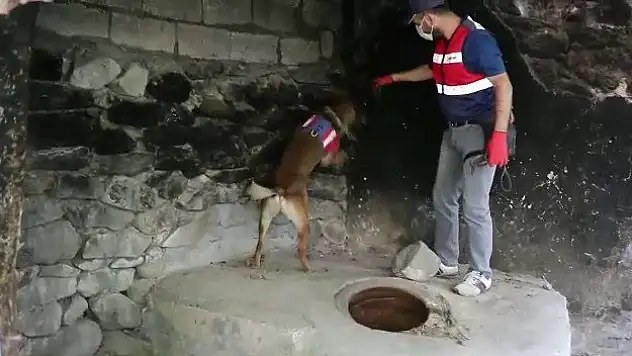 Ağrı ve Iğdır'da uyuşturucu operasyonu