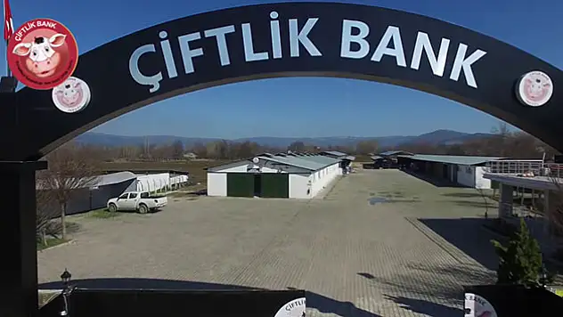 Çiftlik Bank hibe desteğinden yararlandı mı ?
