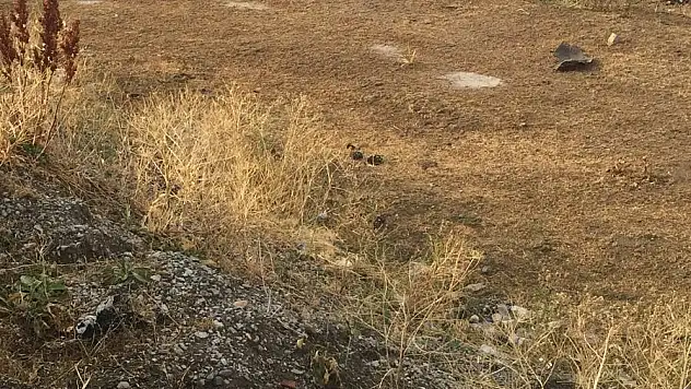 Ağrı'da otomobil takla attı: 5 yaralı