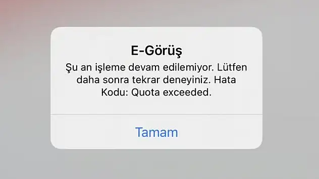 (13 Mart 2025) E Görüş Hata Veriyor, Açılmıyor Hatası ve Çözümü Ne, nasıl çözülür?