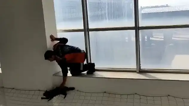 Ağrı Eğitim ve Araştırma Hastanesinde kedi kurtarma operasyonu