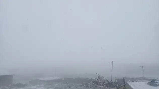 Ağrı'da yağmur yerini kar yağışına bıraktı