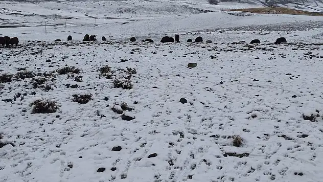 Ağrı'da kış başladı