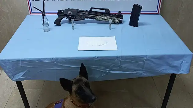Ağrı'da 15 kilo esrar ele geçirildi