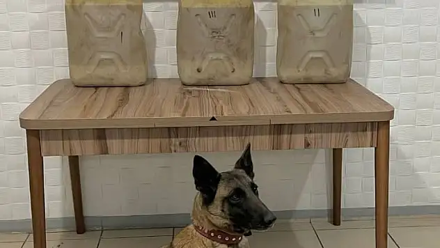 Ağrı'da karpuz yüklü TIR'da 62 litre 420 gram sıvı metamfetamin ele geçirildi