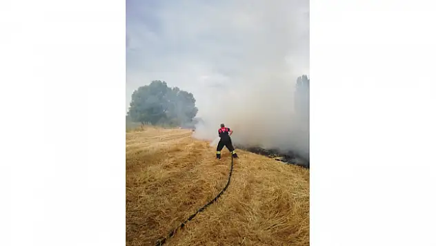 Ağrı'da tarla yangını