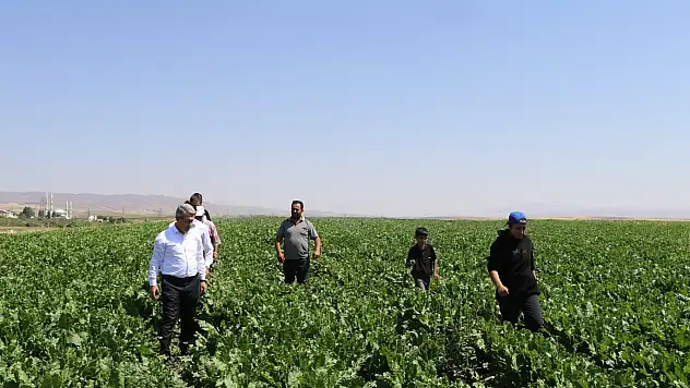 Müdür Engin'in çiftçi ve veteriner hekim ziyaretleri