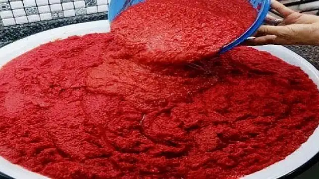Kış hazırlığı yapan kadınların salça mesaisi başladı