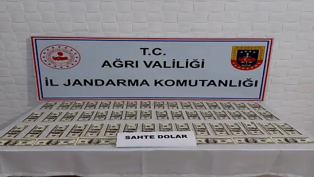 Ağrı'da sahte dolar operasyonu