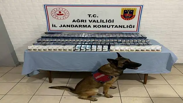Ağrı'da 4 bin 185 paket kaçak sigara ve 50 elektronik sigara ele geçirildi