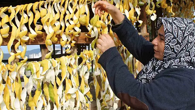 Limonun içi değil kabuğu para ediyor