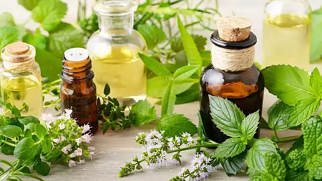 Nioli Yağı Nedir?