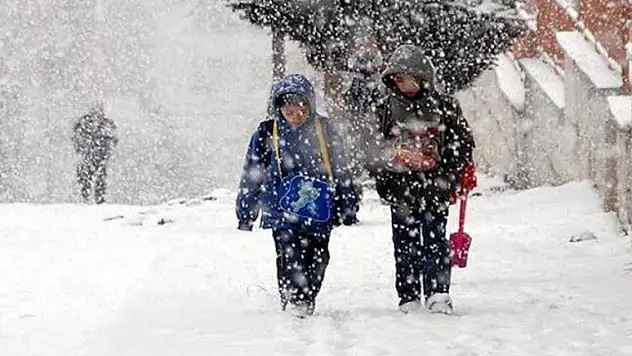 Ağrı Diyadin'de okullar tatil edildi