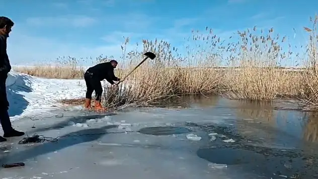 Ağrı'da buzlu suda balık avı