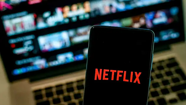 Cihazınız Bu Hesap İçin Netflix Hanesine Dahil Değil Ne Demek?