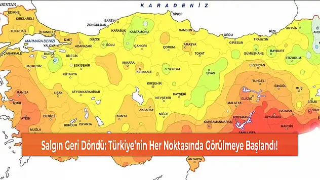 Salgın Geri Döndü: Türkiye'nin Her Noktasında Görülmeye Başlandı!