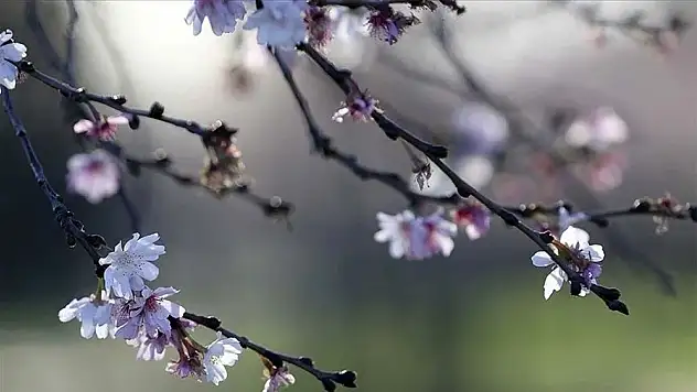 Bugün Cemre mi düşüyor? Bugün hangi Cemre düşecek?