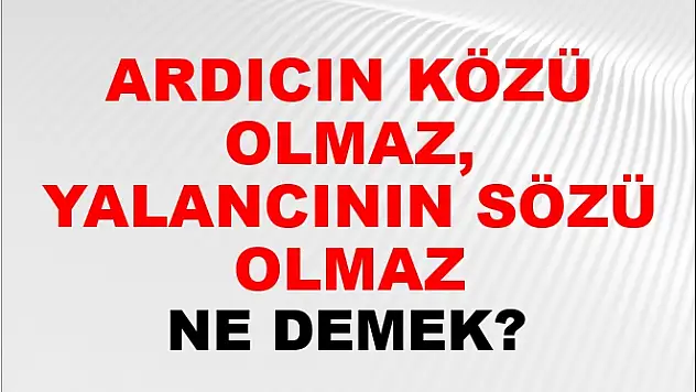 Ardıcın közü olmaz atasözünün anlamı nedir?