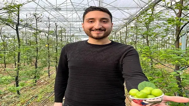 Bu meyvenin fiyatı çeyrek altınla yarışıyor