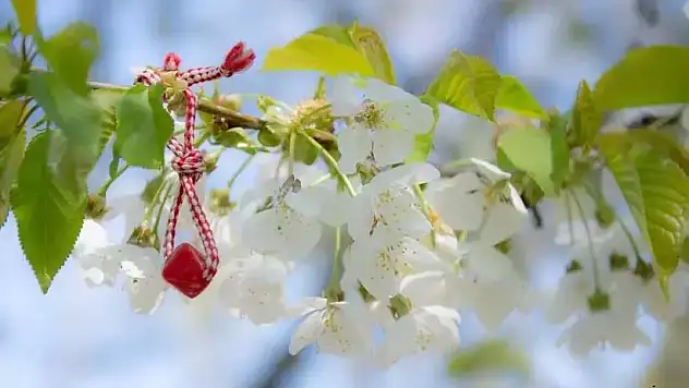 Baba Marta Günleri nedir, ne zaman başlar?