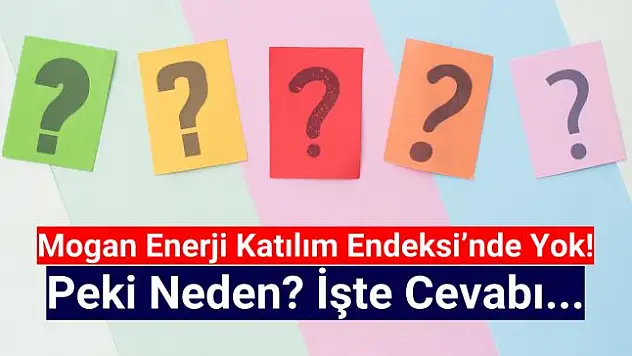 Mogan Enerji Neden Katılım Endeksine Uygun Değil? Sebebi Nedir?