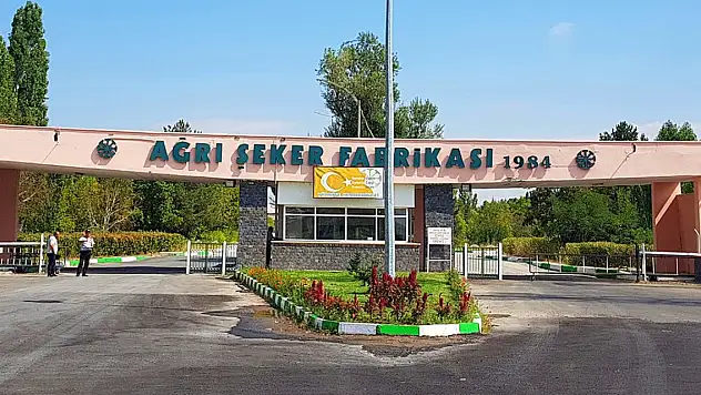 Ağrı Şeker Fabrikası Günlük 3 Bin Ton Kapasiteyle Üretimde